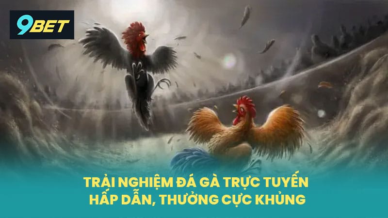 Trải Nghiệm Đá Gà Trực Tuyến Hấp Dẫn, Thưởng Cực Khủng
