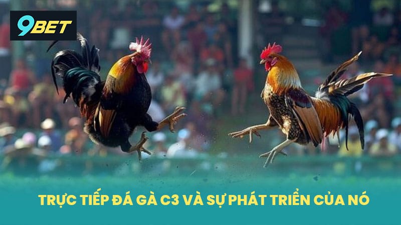 Trực tiếp đá gà C3 và sự phát triển của nó